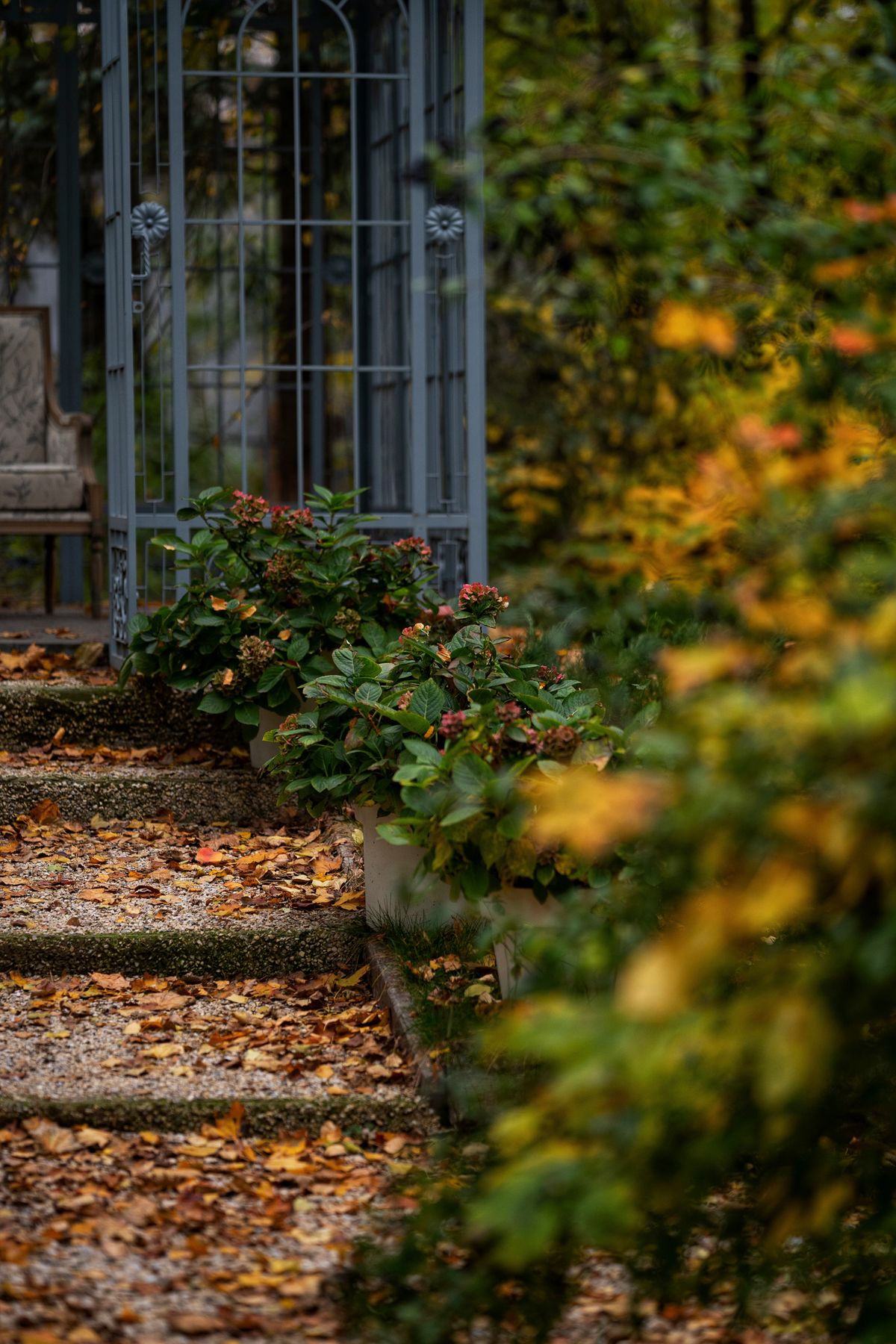 Herfstblad op een tuinpad naast groene planten